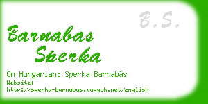 barnabas sperka business card
